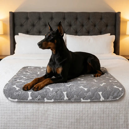 Patiped – Köpekler İçin Akıllı Tuvalet Eğitim Pedi