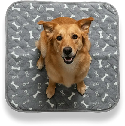 Patiped – Köpekler İçin Akıllı Tuvalet Eğitim Pedi