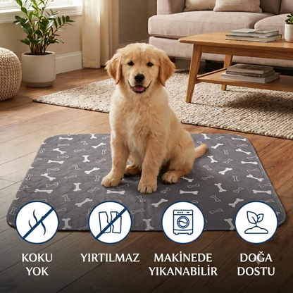 Patiped – Köpekler İçin Akıllı Tuvalet Eğitim Pedi