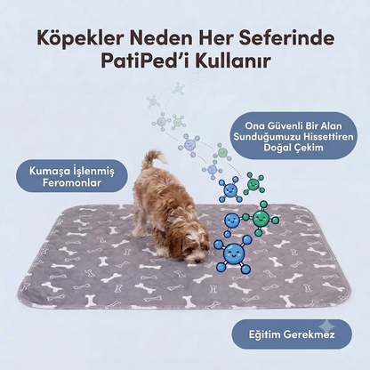 Patiped – Köpekler İçin Akıllı Tuvalet Eğitim Pedi